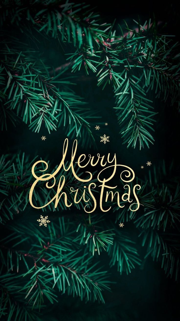 Colorful Merry Christmas Wishes with snowflakes background